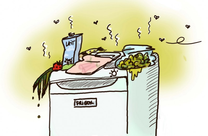frigo