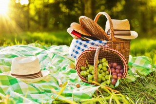 3425-le-pique-nique-de-vos-reves-est-a-portee-article_media_block-1