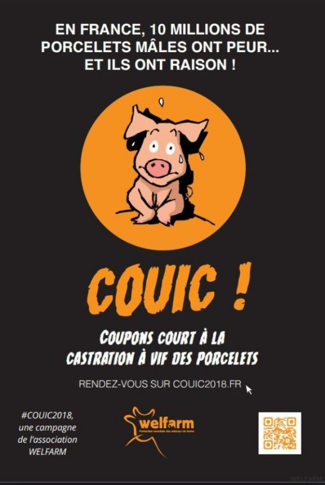 couic-2